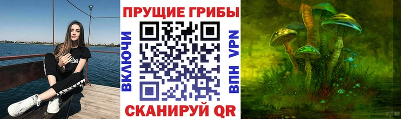Галлюциногенные грибы GOLDEN TEACHER  мориарти телеграм  Емва 