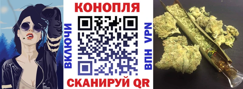 магазин продажи   Емва  МАРИХУАНА OG Kush 